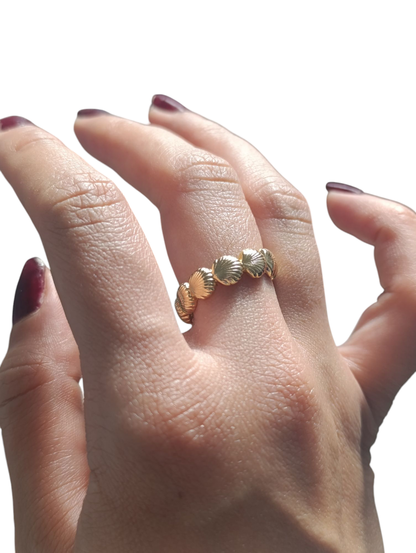 Anillo mini conchas graduable